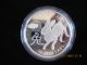 Year Of The Rabbit Canada 2011 Fine Coin Silver Proof Chinese Lunar Zodiac $15 R Coins: Canada photo 1