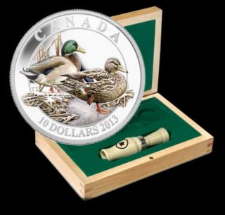2013 Canada $10 999 Silver Mallard Duck Coin & Case & Duck Call Ducks Unlimited photo