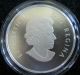 2013 $10 Inukshuk Fine.  9999 Silver,  1st Coin In A Series - Issue Coins: Canada photo 2