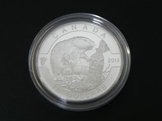 2013 1/2 Oz Fine Silver Canadian O Canada Series Beaver $10 Ten Dollar Coin photo