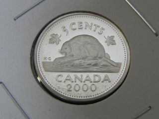 2000 Silver Proof Canadian Canada Beaver Elizabeth Ii Nickel Five 5 Cent photo