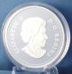 Canada 2013 A Y Jackson Saint - Tite - Des - Caps 1 Oz Silver $20 Proof F Group Of 7 Coins: Canada photo 5