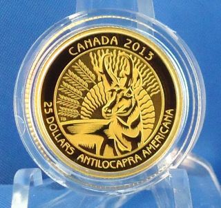 2013 Pronghorn Antelope $25 Fine Gold Coin,  2nd Coin In Untamed Canada Series photo