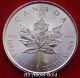 Silver Coin 1 Oz 2014 Canada Canadian Maple Leaf.  9999 Fine Radial Lines Rays Bu Coins: Canada photo 2