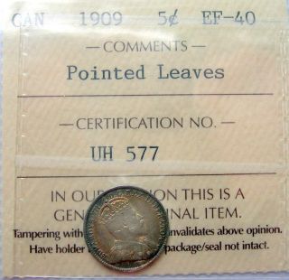 1909 Pointed Leaf Five Cents Iccs Ef - 40 Scarce Variety Edward Vii Key photo