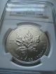 2013 Canada $5 Silver Maple Leaf - F15 Privy - Ngc Graded Sp68 Coins: Canada photo 1