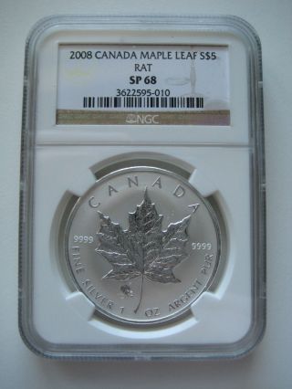 2008 Canada $5 Silver Maple Leaf - Rat Privy - Ngc Graded Sp68 photo