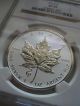 2013 Canada $5 Silver Maple Leaf - Snake Privy - Ngc Graded Sp69 Coins: Canada photo 1