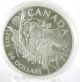2013 Beaver 1 Troy Oz Fine Silver $20 Commemorative Coin Ultra Low Mintage 8,  500 Coins: Canada photo 2