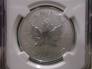 2014 Canada Maple Leaf $5 Reverse Proof Early Releases Pf70 photo