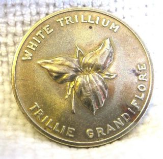 Canada Ontario 1867 White Trillium Medal 100th Anniversary Of Canadian Fed. photo