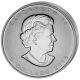 Rare 2013 $5 1oz Silver Maple Leaf 25th Ann. .  9999 Fine Color Edition Coins: Canada photo 1