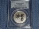 2011 Canada $10 Silver Maple Leaf Forever Coin Graded Ms70 By Pcgs W/box&coa Wow Coins: Canada photo 6