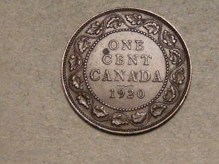 1920 Canadian Large Cent  5980 photo