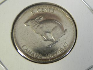1967 Ms Canadian Canada Centennial Rabbit Elizabeth Ii Nickel Five 5 Cents photo
