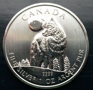 2011 1 Oz Silver Timber Wolf Canadian Wildlife Series $5 Coin.  No Milk Spotst124 photo