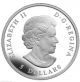 Canada 2013 Piedfort 25th Anniversary Of Silver Maple Leaf,  99.  99 Silver,  No Tax Coins: Canada photo 1