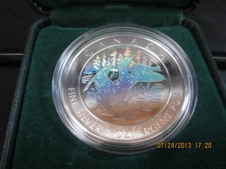 Canada 2002 Anniversary Loon Hologram Pure Silver Coin Proof Mintage 10000 photo