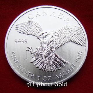Silver Coin 1 Oz 2014 Canada Peregrine Falcon Birds Of Prey Series.  9999 Pure Bu photo
