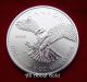 Silver Coin 1 Oz 2014 Canada Peregrine Falcon Birds Of Prey Series.  9999 Pure Bu Coins: Canada photo 4