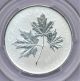 2011 1/2 Ounce Silver Maple Leaf Forever Pcgs Graded Ms69 First Year Of Design Silver photo 1