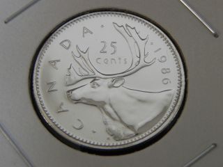 1986 Specimen Unc Canadian Canada Caribou Quarter Twenty Five 25 Cents photo