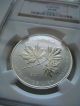 2011 Canada $10 Silver Maple Leaf Forever - Ngc Sp69 Coins: Canada photo 1