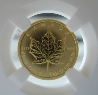 2013 Canada $5 Gold Maple Leaf - Ngc Ms66 - 1/10oz - 1 Of 2 Graded Early Release photo