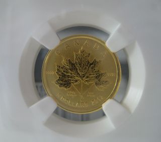 2012 Canada $5 Gold Maple Leaf Forever - Ngc Sp68 - Rare Pop photo