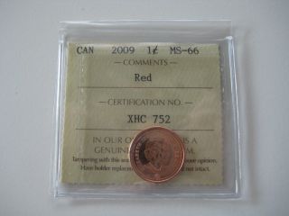 2009 Canada 1 - Cent - Iccs Certified Ms66 - Magnetic photo
