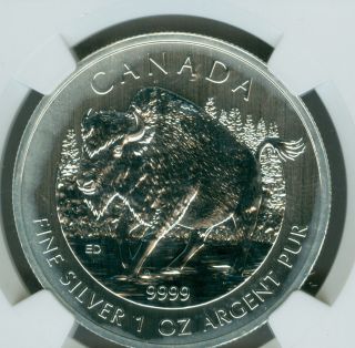 2013 Canada Silver $5 1 Oz Wood Bison Ngc Ms - 69 Er. photo