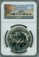 2013 Canada Silver $5 1 Oz Wood Bison Ngc Ms - 69 Er. Coins: Canada photo 1