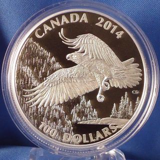Canada 2014 Bald Eagle - Wildlife In Motion 3 - Pure Silver $100 Matte Proof photo