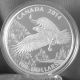 Canada 2014 Bald Eagle - Wildlife In Motion 3 - Pure Silver $100 Matte Proof Coins: Canada photo 1