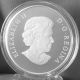 Canada 2014 Bald Eagle - Wildlife In Motion 3 - Pure Silver $100 Matte Proof Coins: Canada photo 4