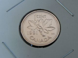 1991 Specimen Unc Canadian Canada Maple Leaf Elizabeth Ii Penny One 1 Cent photo