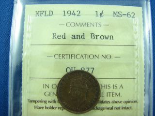1942 Newfoundland One Cents Iccs Ms 62 Red And Brown photo