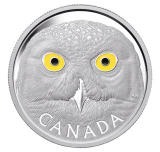 2014 Canada $250 1 Kilo Silver Coin - In The Eyes Of The Snowy Owl - 500 Only photo
