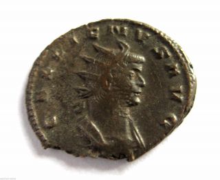 253 A.  D Gallic Empire Emperor Gallienus Roman Period Ae Bronze Antoninus Coin photo