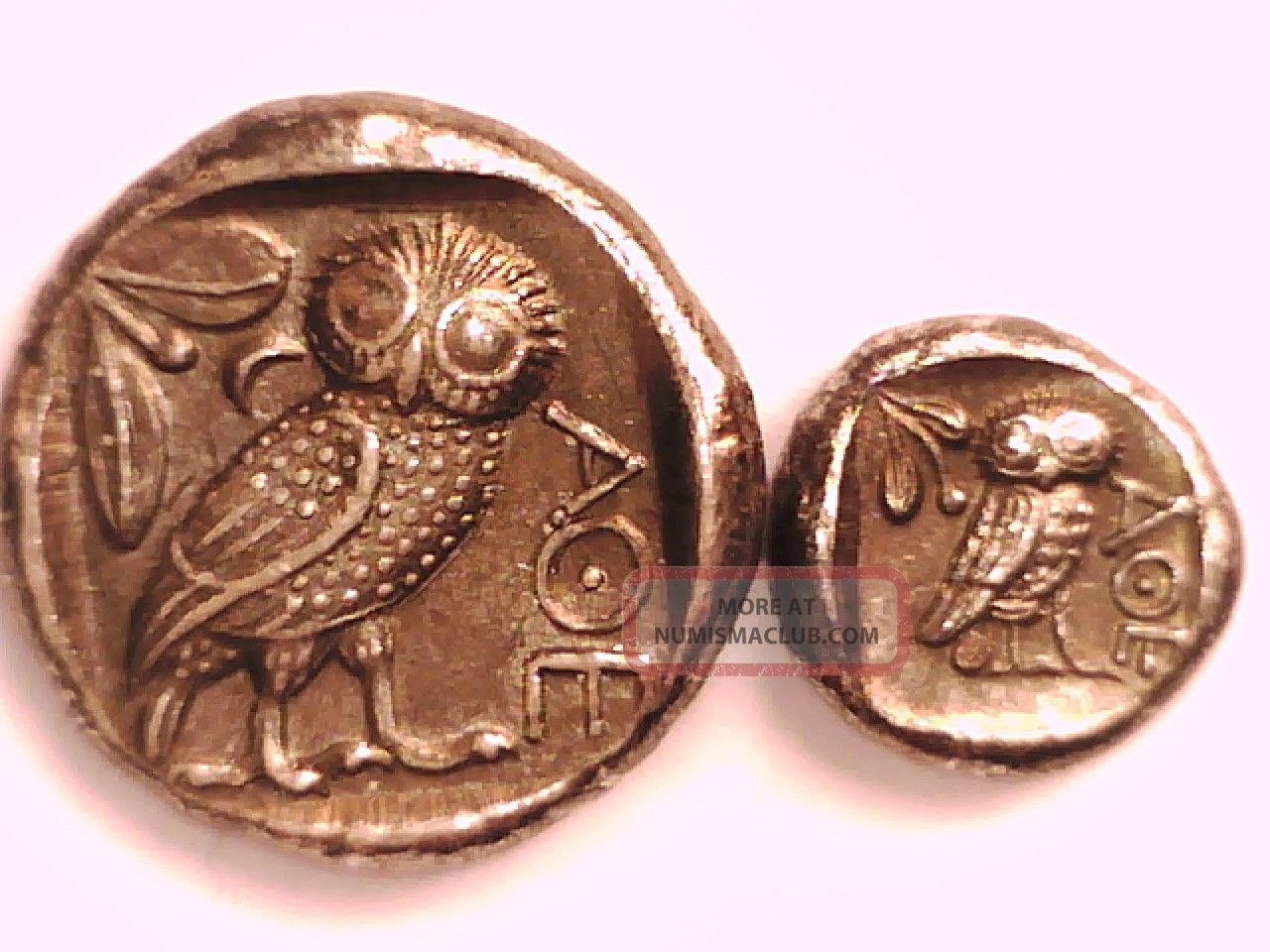 2rooks Greek Greece Attica Athens Tetradrachm & Drachm Athena/owl Olive