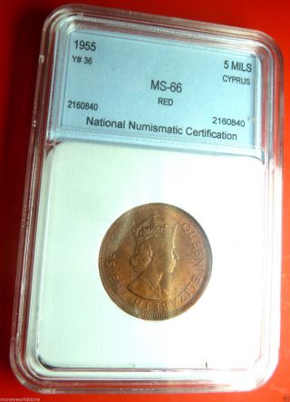 Cyprus 1955 5 Mils Unc Red Bronze Coin,  Km 34,  Greece,  Zypern,  Chypre,  Cipro Chipre photo