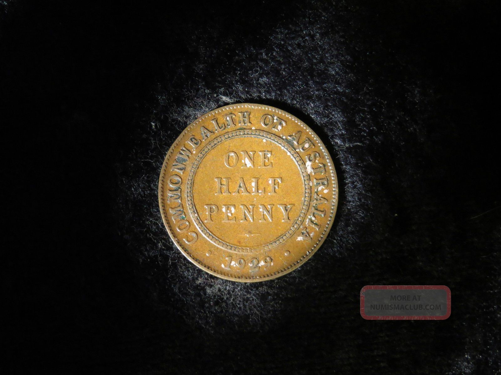 Foreign Australia 1929 George V Half Penny Antique Copper Coin - Flip Australia photo