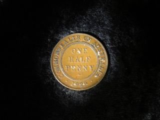 Foreign Australia 1929 George V Half Penny Antique Copper Coin - Flip photo