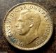 Old United Kingdom Gb 1950 1 Farthing George Vi Wren (bird) Coin UK (Great Britain) photo 1