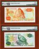 Zealand $1 To 50 Low Matching Serial 000888 Nd (1981 - 92) Pmg 65 - 67 Gem Unc Australia & Oceania photo 2