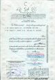 Puerto Rico Telephone Company 1958 Domestic Share Certificate 100 Shares Transportation photo 1