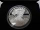 2013 W American Eagle Silver Proof Coin In Velvet & Satin Case 1 Oz From Silver photo 2