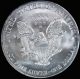 2003 Silver American Eagle $1.  999 1 Troy Silver photo 1
