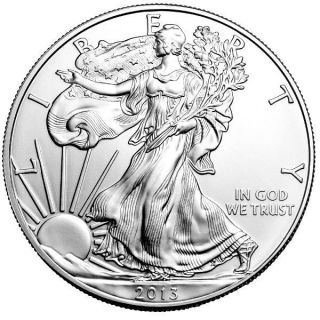 2013 Silver American Eagle Coin In Plastic Case photo