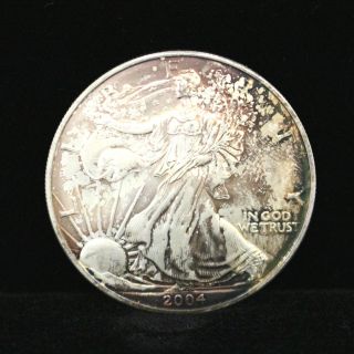 2004 American Eagle 1oz Silver Coin photo